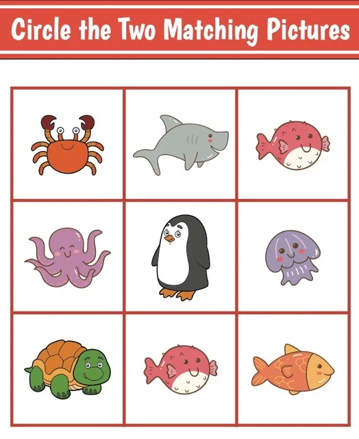 Circle 2 Matching Pictures