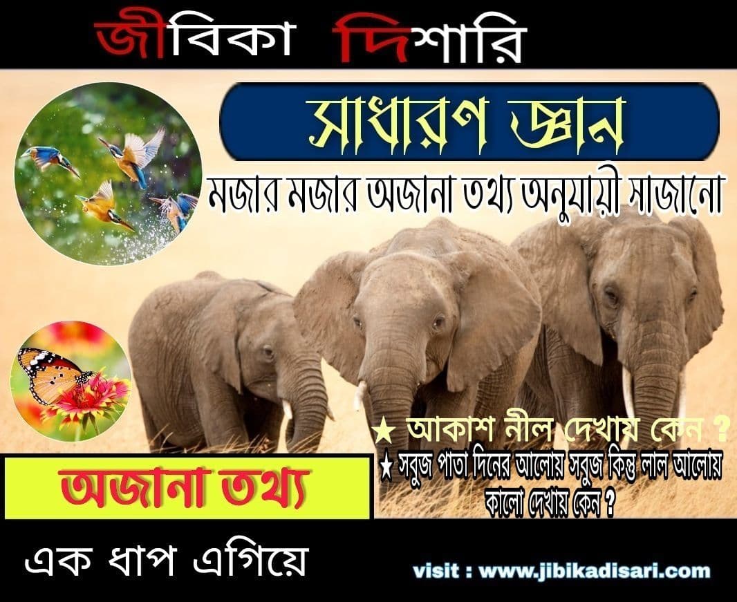 সাধারণ জ্ঞান ও অজানা তথ্য : General knowledge and unknown information