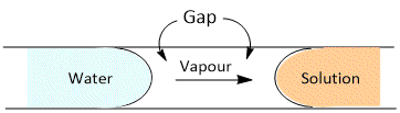 Vapour Pressure Theory of Osmosis
