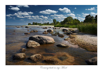 Beautiful Outdoor Photos