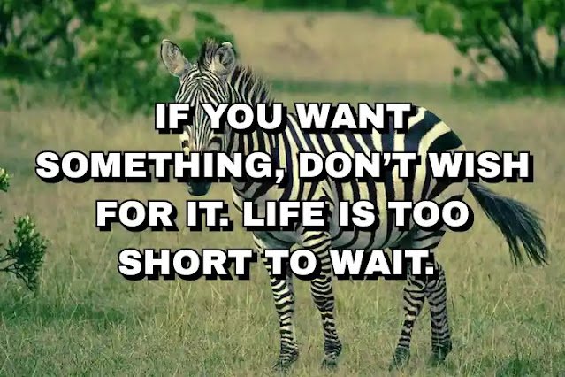 If you want something, don’t wish for it. Life is too short to wait.