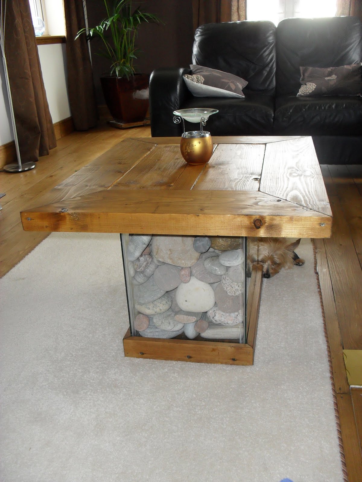 Fish Tank Coffee Table