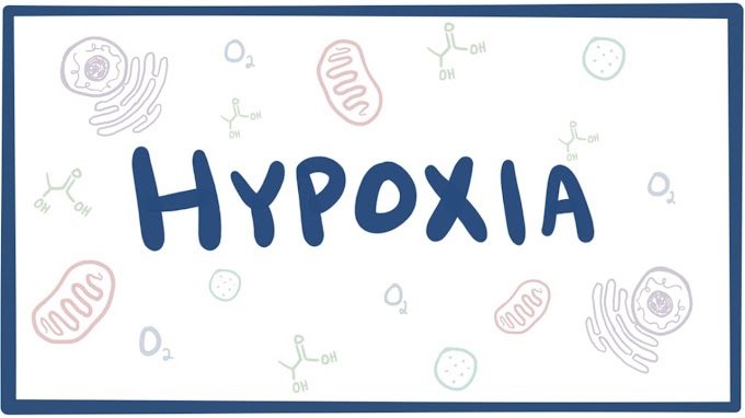 Types and Causes of Brain Hypoxia | Health Tips