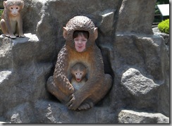 monkey katya close up