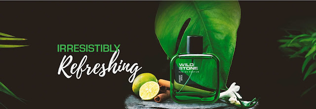 wildstone perfume for men