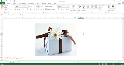 Cara Memotong Gambar Crop Picture di Excel