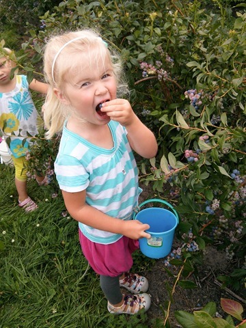IMG_20130726_111627