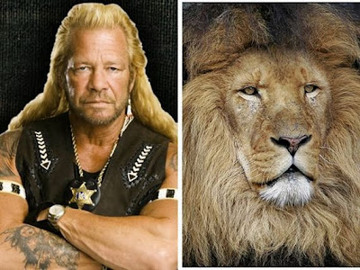 Funny - Similarity Between Celebrities And Animals