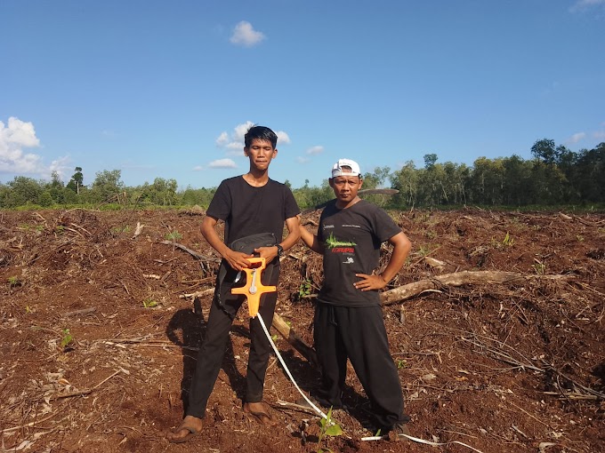 PT Arara Abadi Diduga Serobot Kebun Sawit Masyarakat, Sugianto: Saya Akan Buat Surat ke Kementerian Kehutanan