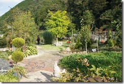 DSC03369