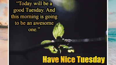 Tuesday Morning quotes Images