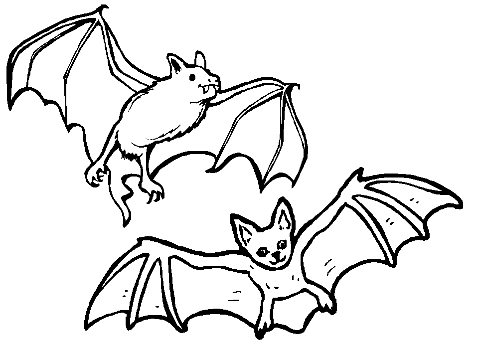  Bat Coloring   10