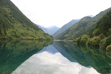 Rhinoceros Lake, Juizhaigou, China, 2009 (4504)