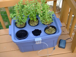 Homemade Hydroponic System- Supplies You Need To Build Your Homemade ...
