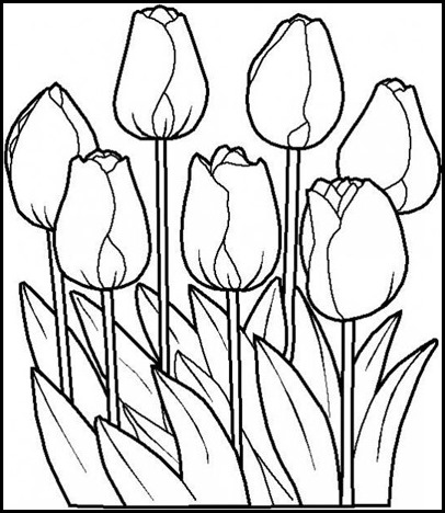 primavera40