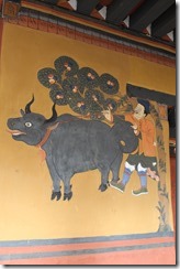 IMG_6888