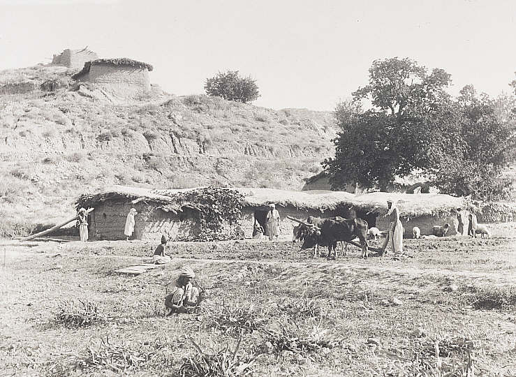 Pastoral Scene, Possibly Sindh | 19th Century India or Pakistan from Lucknow to Lahore Photos | Rare & Old Vintage Photos (19th Century)