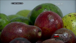 Di Bali ada gerai es krim unik ala Meksiko namanya Paletas. Es Krim ala Meksiko yang enak segar, sekaligus sehat karena terbuat dari buah-buahan. Published on Aug 16, 2017.