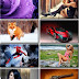 LIFEstyle News MiXture Images. Wallpapers Part (430)