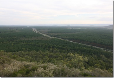 metsad