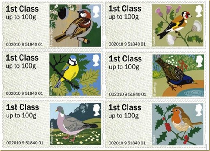 Birds