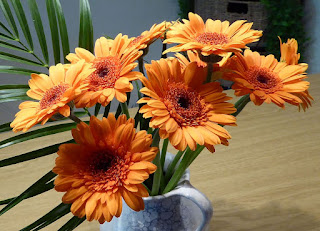 The ultimate secret to save your dying gerbera daisy