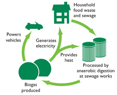 An interesting ecological Geneco Bio-Bug