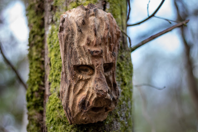 Faces in the woods