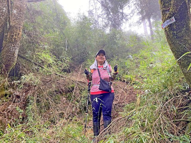 回抵鞍馬山東北峰登山口