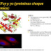 Identificación molecular con base en el gen hsp70 de aislamientos clínicos de Leishmania spp. en Colombia