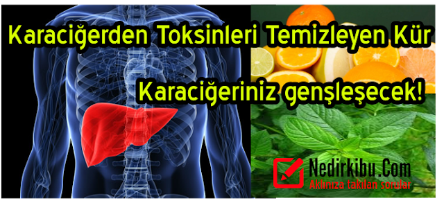 Karaciğerinizden Toksinleri Bu Kürle Arındırın!