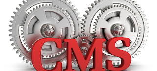 CMS Development