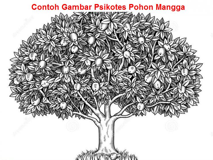  psikotes  gambar  pohon  mangga