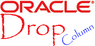 Oracle Drop Column