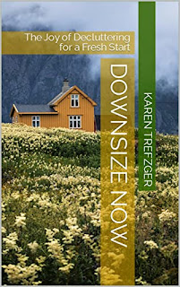 DOWNSIZE NOW book
