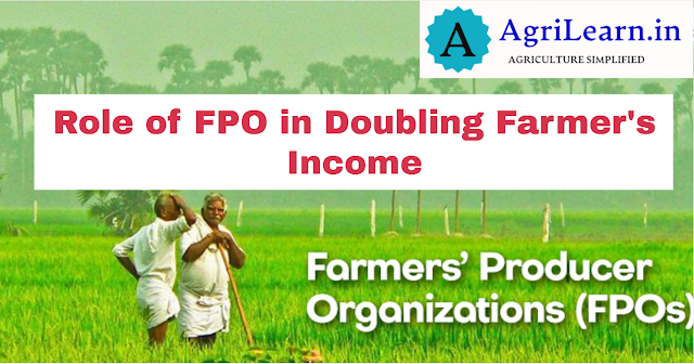 Role of Farmer Producer Organizations (FPOs) in Doubling Farmers' Income