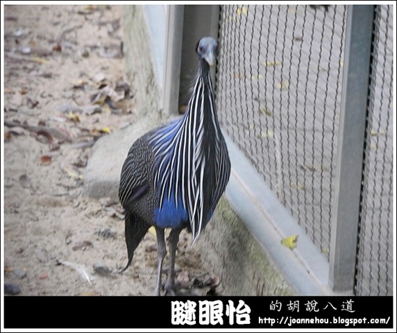 新竹市立動物園19