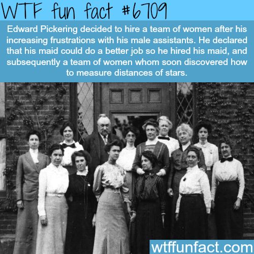 Amazing Weird And Interesting Random Facts