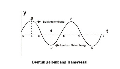 Gelombang Transversal