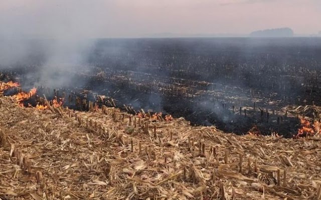 Tot mai multe cazuri de aprindere a vegetației uscate în raionul Leova