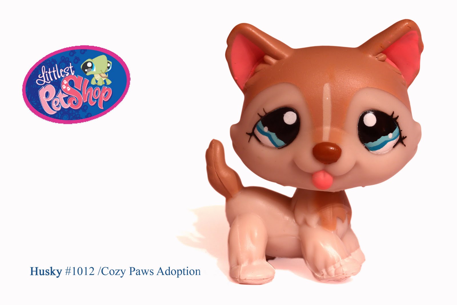 Littlest Pet Shop: RÃ³Å¼ne zdjÄ™cia LPS