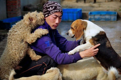 Chinese Woman Adopts 1500 Dogs, 200 Cats Seen On  www.coolpicturegallery.us