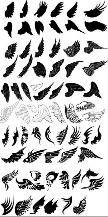 Shaak Tii Tattoo World Wings