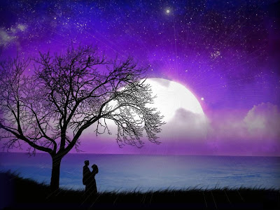 love wallpapers - عالم الحب - رجل وحبيبته فى اضوء القمر - man and woman in moonlight