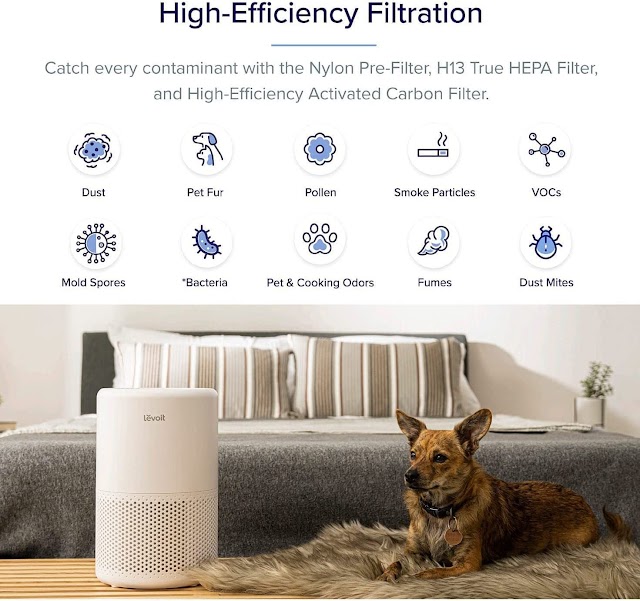 Tech meets Clean Air: Unveiling the Top WiFi Air Purifiers for Your Home