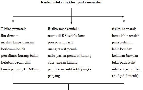 sikkahoder Penyebab  dan Pengobatan infeksi pada bayi yang 