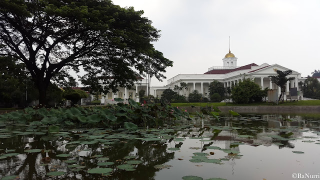 Bogor, Kota Hujan yang Menyimpan Ketenangan