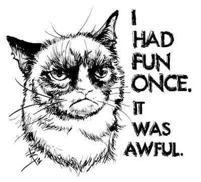 Grumpy Cat I Had Fun Once