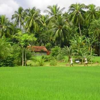 কিছু বাস্তব উপদেশ  যা আপনার জীবনকে বদলে দেবে