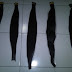 Dijual Rambut sambung (Hair Extension) Asli